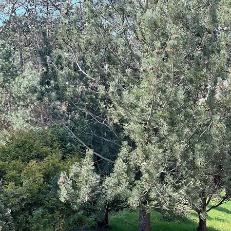 アパート Haus-dreilanden-whg-06