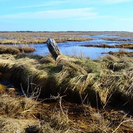 アパート Haus-dreilanden-whg-06